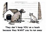 funny cartoon pic