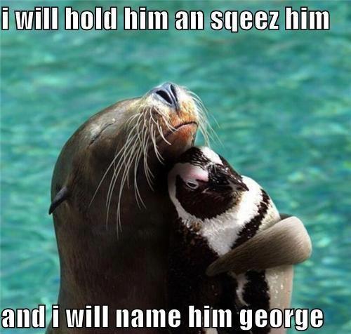 funny animals pics jokes