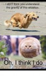 best funny animal pic
