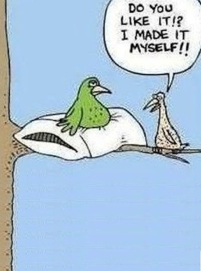 lol bird cartoon