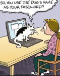 lolcat cartoon