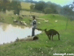 Funniest gif ever, funny gifs, humor gifs For more hilarious gifs visit  www.bestfunnyjokes4u.com/