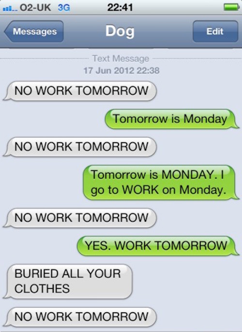 Funniest Texts - Best Funny Jokes and Hilarious Pics 4U