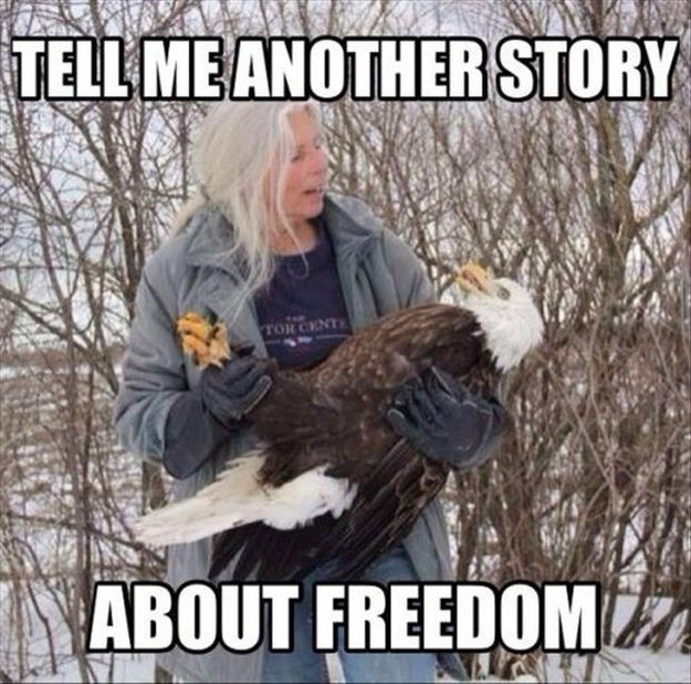American Eagle and Freedom
